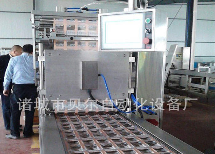 休闲食品真空包装机